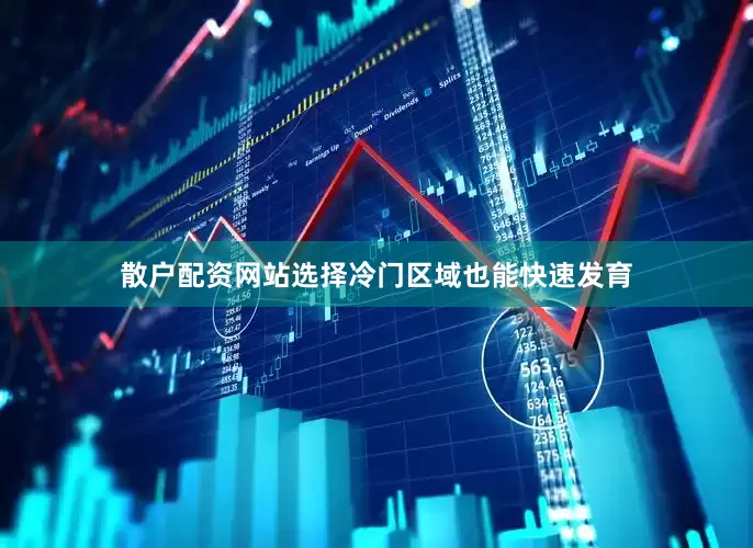 散户配资网站选择冷门区域也能快速发育
