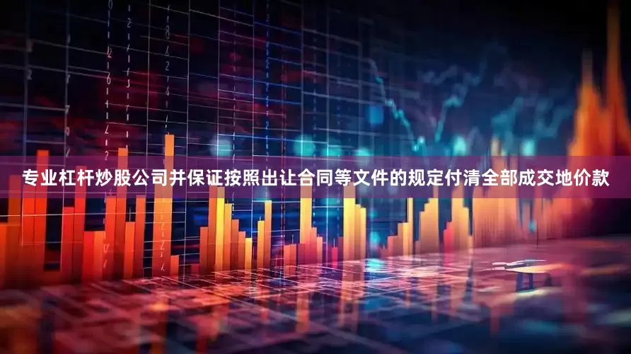 专业杠杆炒股公司并保证按照出让合同等文件的规定付清全部成交地价款