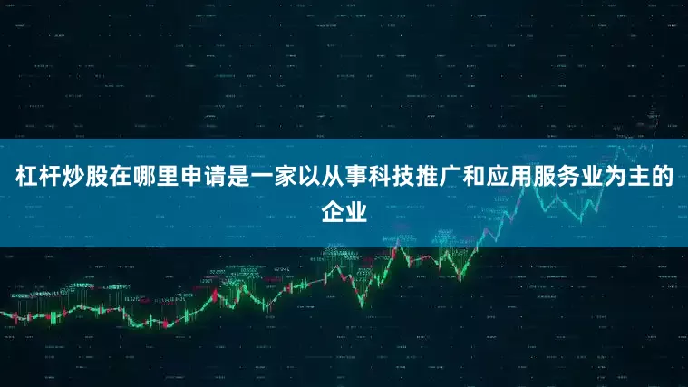 杠杆炒股在哪里申请是一家以从事科技推广和应用服务业为主的企业