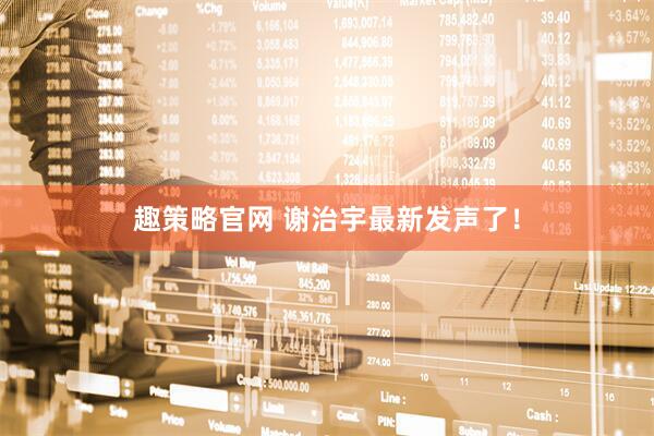 趣策略官网 谢治宇最新发声了！