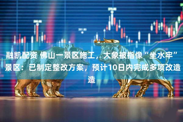 融凯配资 佛山一景区施工,大象被指像“坐水牢” 景区:已制定整改方案,预计10日内完成多项改造